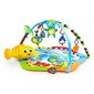 Attīstošais paklājiņš Baby Einstein Rhythm of the Reef Play Gym™ cena un informācija | Attīstošie paklājiņi | 220.lv