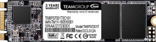 Team Group MS30 TM8PS7001T0C101 цена и информация | Внутренние жёсткие диски (HDD, SSD, Hybrid) | 220.lv