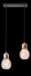 Lampex griestu lampa Lilia 2L цена и информация | Piekaramās lampas | 220.lv