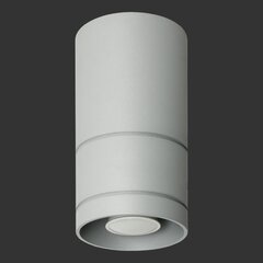 Светильник Lampex Diego 20 цена и информация | Потолочные светильники | 220.lv
