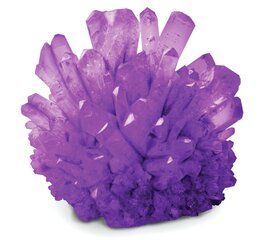 Zinātniskās spēles Izaudzē kristālu National Geographic Crystal Grow Purple, NGPCRYSTAL цена и информация | Развивающие игрушки | 220.lv