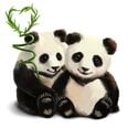 Bērnistabas interjera uzlīme Pandas un bambuss