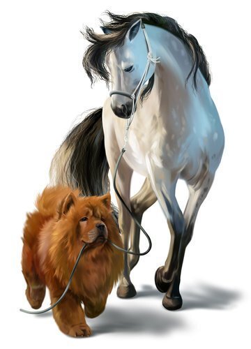 Bērnu interjera uzlīmes Suns un zirgs цена и информация | Dekoratīvās uzlīmes | 220.lv