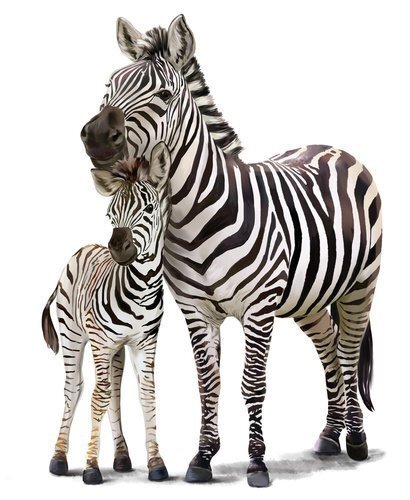Bērnu interjera uzlīme Zebra цена и информация | Dekoratīvās uzlīmes | 220.lv