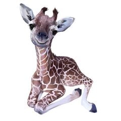 Bērnu interjera uzlīmes Žirafe cena un informācija | Dekoratīvās uzlīmes | 220.lv