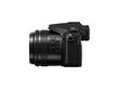 Panasonic DMC-FZ2000EP cena un informācija | Digitālās fotokameras | 220.lv