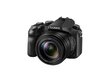 Panasonic DMC-FZ2000EP цена и информация | Digitālās fotokameras | 220.lv