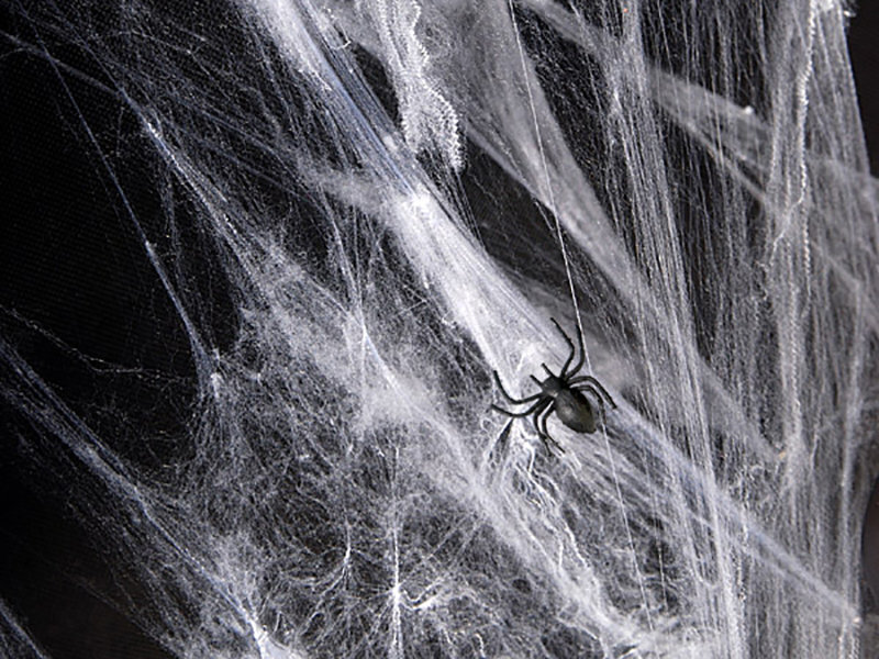 Zirnekļtīkls Halloween, balts, 1 gab./60g цена и информация | Svētku dekorācijas | 220.lv