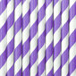 Papīra salmiņi, violeti balti, 19,5 cm, 1 iepak./10 gab. cena un informācija | Vienreizējie trauki | 220.lv