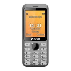 eStar Feature Phone X28 Dual SIM, Silver цена и информация | Мобильные телефоны | 220.lv