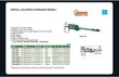 Digitālais bīdmērs Insize (200 mm) ar bloķēšanas skrūvi cena un informācija | Rokas instrumenti | 220.lv