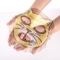 Nomierinoša loksnes sejas maska Skin79 Animal Angry Cat 23 g cena un informācija | Sejas maskas, acu maskas | 220.lv