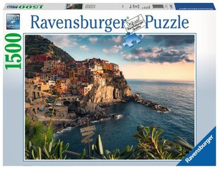 Puzle Ravensburger skats uz Cinque Terre, 1500 d., 16227 cena un informācija | Puzles, 3D puzles | 220.lv