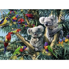 Puzle Ravensburger Koala kokā, 500 d., 14826 cena un informācija | Puzles, 3D puzles | 220.lv