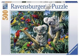 Puzle Ravensburger Koala kokā, 500 d., 14826 cena un informācija | Puzles, 3D puzles | 220.lv