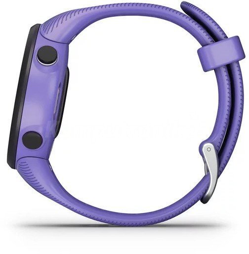 Viedais pulkstenis Garmin Forerunner 45, S, Purple cena un informācija | Viedpulksteņi (smartwatch) | 220.lv