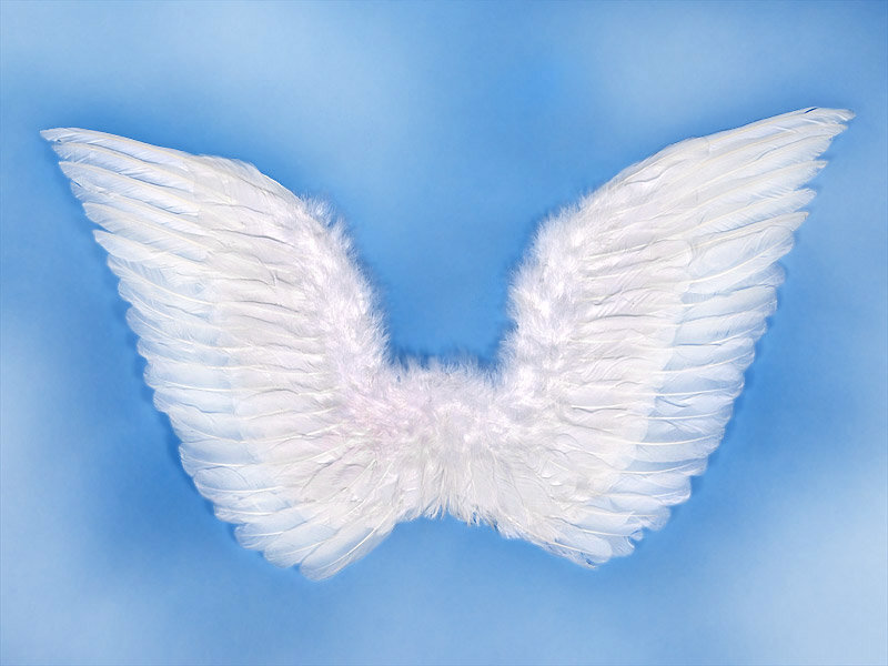 Spārni Angel's Wings, balti, 75x45 cm, 1 paciņa/1 gab цена и информация | Karnevāla kostīmi, maskas un parūkas | 220.lv