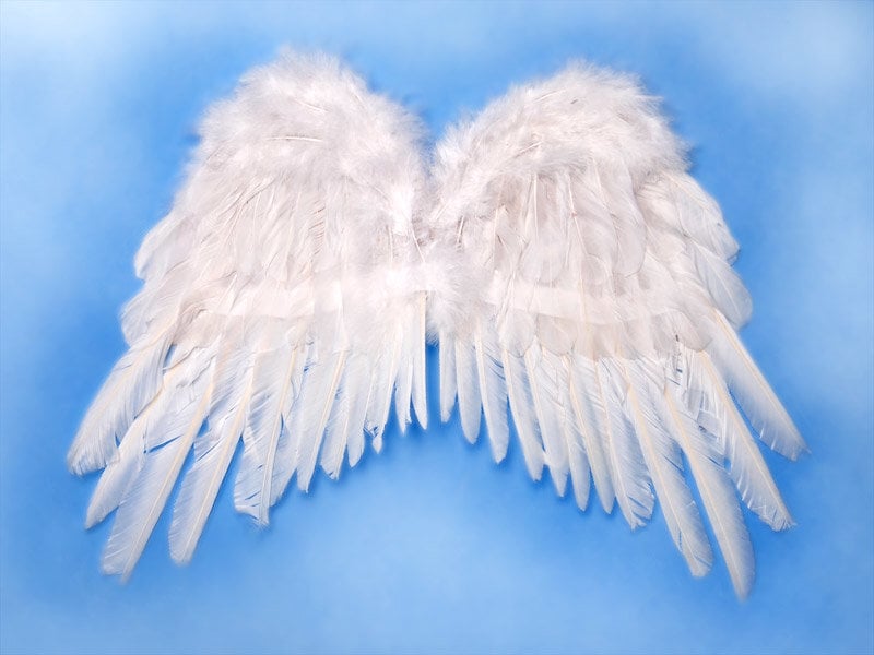 Spārni Angel's Wings, balti, 53x37 cm, 1 paciņa/1 gab cena un informācija | Karnevāla tērpi, maskas | 220.lv