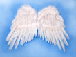 Spārni Angel's Wings, balti, 53x37 cm, 1 paciņa/1 gab цена и информация | Karnevāla kostīmi, maskas un parūkas | 220.lv