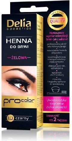 Uzacu krāsa Delia Cosmetics Henna 15 ml, 1.0 Black cena un informācija | Uzacu krāsas, zīmuļi | 220.lv