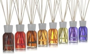 Aromātiskie kociņi Millefiori Natural Fragrance Incense & Blond Woods 250 ml cena un informācija | Mājas aromāti | 220.lv