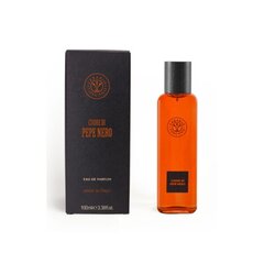 Parfimērijas ūdens Erbario Toscano Black Pepper EDP vīriešiem 100 ml cena un informācija | Vīriešu smaržas | 220.lv