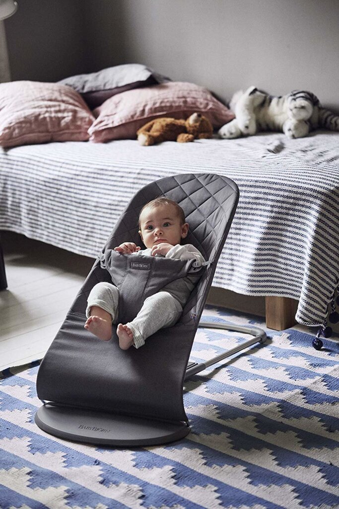 Šūpuļkrēsls ar rotaļlietu BabyBjörn Bliss, anthracite цена и информация | Bērnu šūpuļkrēsliņi | 220.lv
