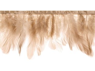Virtene Feather Beige Pink 17 cm, 1 m cena un informācija | Svētku dekorācijas | 220.lv