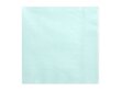 3 slāņu salvetes Pale Turquoise 33 x 33 cm (1 iepak. / 20 gab.) цена и информация | Vienreizējie trauki | 220.lv
