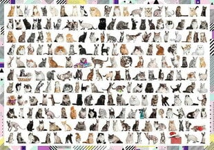 Puzle Trefl 208 Cats, 1000 d. cena un informācija | Puzles, 3D puzles | 220.lv