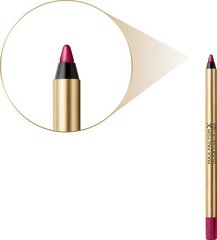 Lūpu kontūrzīmulis Max Factor Colour Elixir 2 g, Berry Kiss cena un informācija | Lūpu krāsas, balzāmi, spīdumi, vazelīns | 220.lv