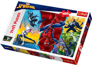 Пазл Trefl Spiderman, 100 д. цена и информация | Пазлы | 220.lv
