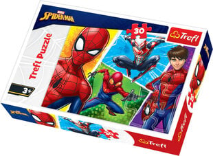 Пазл Trefl Spiderman, 30 д. цена и информация | Пазлы | 220.lv