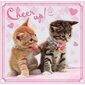 Puzles komplekts Trefl 3 in 1 Sweet Kittens, 20+36+50 cena un informācija | Puzles, 3D puzles | 220.lv