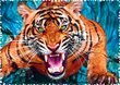 Puzle Trefl Tiger, 600 d. цена и информация | Puzles, 3D puzles | 220.lv