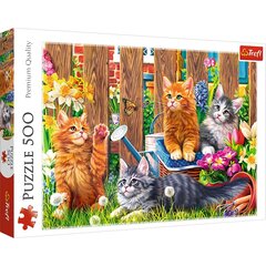 Puzle Trefl Kittens In The Garden, 500 d. цена и информация | Пазлы | 220.lv