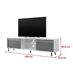 TV стол Selsey Luna белый/серый цена и информация | Тумбы под телевизор | 220.lv