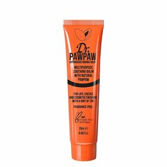 Daudzfunkcionāls balzams ar nokrāsu Dr. PawPaw Outrageous Orange 25 ml cena un informācija | Lūpu krāsas, balzāmi, spīdumi, vazelīns | 220.lv