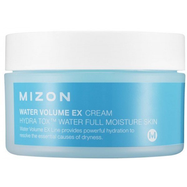 Mitrinošs sejas krēms Mizon Water Volume Ex Cream 100 ml цена и информация | Sejas krēmi | 220.lv