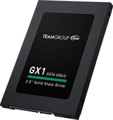 Team Group T253X1480G0C101 цена и информация | Внутренние жёсткие диски (HDD, SSD, Hybrid) | 220.lv