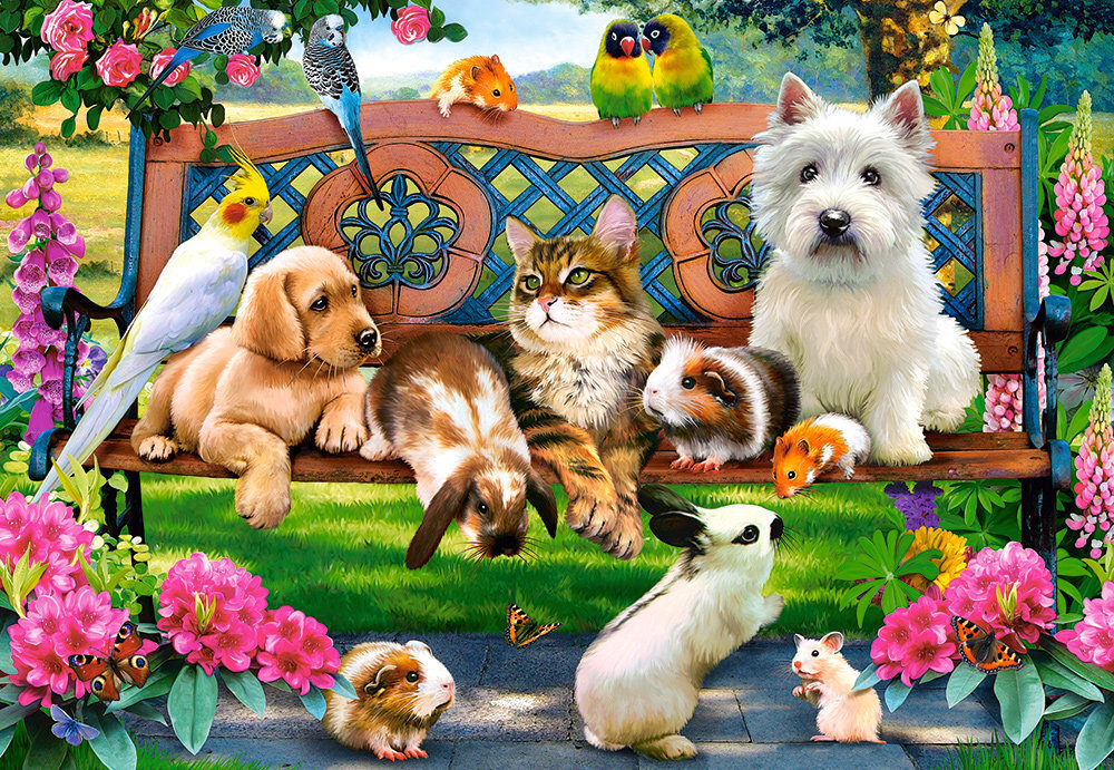 Puzle Puzzle Castorland Pets in the Park, 1000 detaļas цена и информация | Puzles, 3D puzles | 220.lv