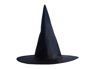 Raganas cepure, melna cena un informācija | Karnevāla kostīmi, maskas un parūkas | 220.lv