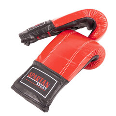Боксерские перчатки Spartan Trenink цена и информация | Боевые искусства | 220.lv