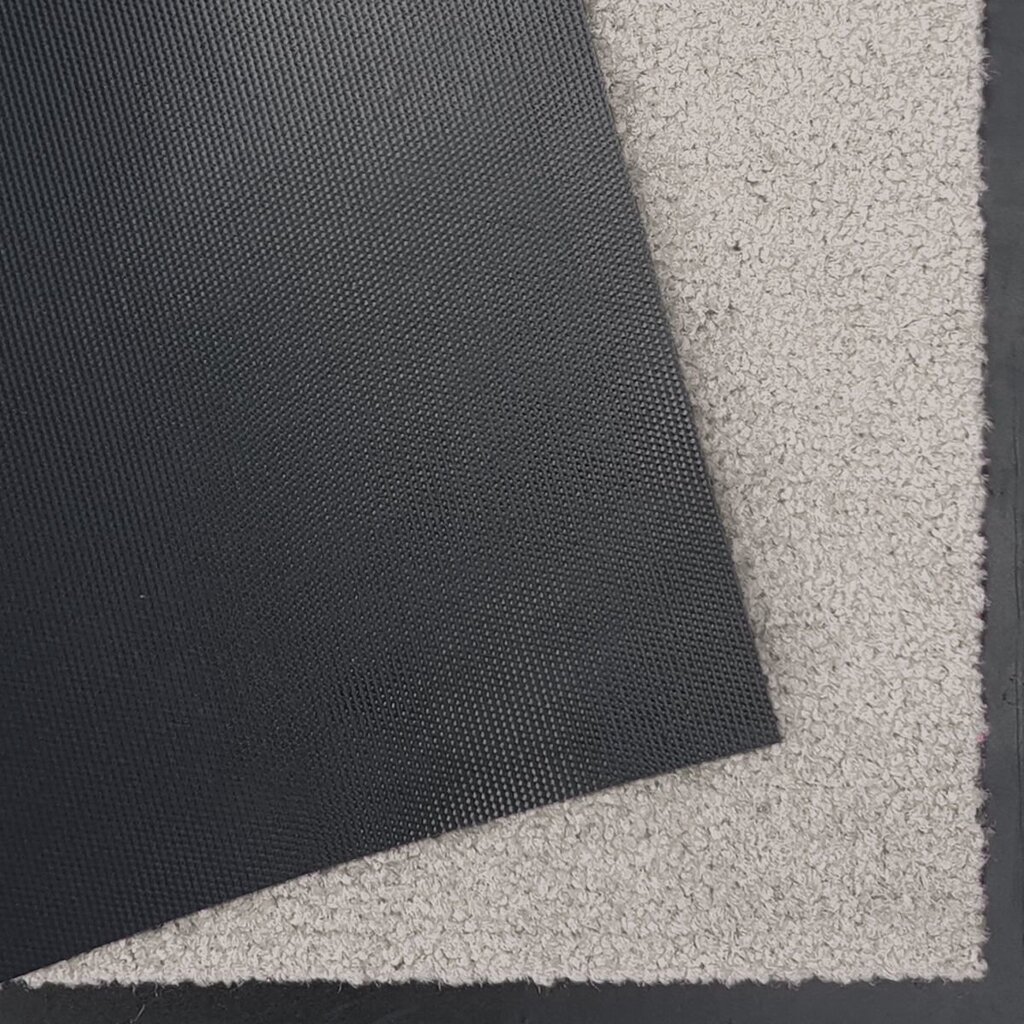Hanse Home durvju paklājs Wash & Clean, 90x150 cm cena un informācija | Kājslauķi | 220.lv