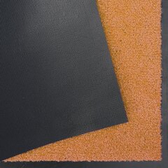 Hanse Home дверной коврик Wash & Clean, 90x150 см цена и информация | Придверные коврики | 220.lv