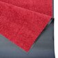 Hanse Home durvju paklājs Wash & Clean, 60x90 cm cena un informācija | Kājslauķi | 220.lv