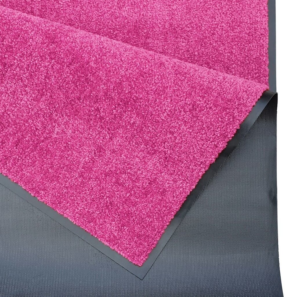 Hanse Home durvju paklājs Wash & Clean, 120x180 cm цена и информация | Kājslauķi | 220.lv