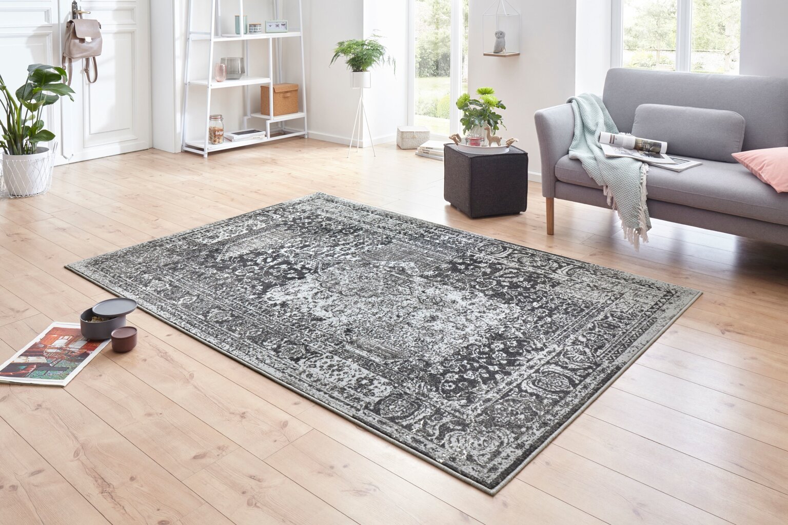 Hanse Home paklājs Plume, 200x290 cm cena un informācija | Paklāji | 220.lv