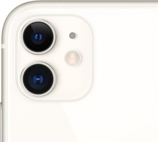 Apple iPhone 11 64GB White MHDC3ET/A цена и информация | Mobilie telefoni | 220.lv