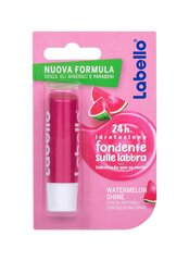 Lūpu balzāms Labello 4,8 g, Watermelon Shine цена и информация | Помады, бальзамы, блеск для губ | 220.lv